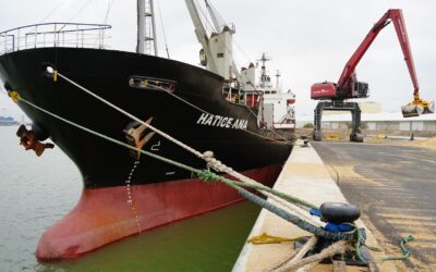 El Puerto de Sevilla estrena una Nueva Terminal en la Dársena del Cuarto