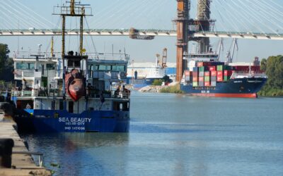 El Puerto de Sevilla aumenta un 12,8 % el tráfico de mercancías gracias al crecimiento del fertilizante, el aceite y el contenedor