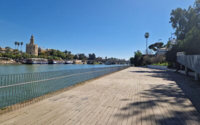 La Autoridad Portuaria de Sevilla aprueba la instalación del centro de H2B2 para la fabricación de electrolizadores de hidrógeno