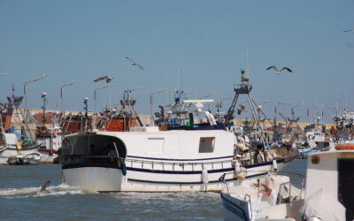 La Junta inicia el trámite ambiental de la ampliación del puerto de Bonanza en Sanlúcar de Barrameda  