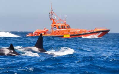 La Autoridad Portuaria de la Bahía de Algeciras impulsa la formación sobre navegación responsable y protección de cetáceos