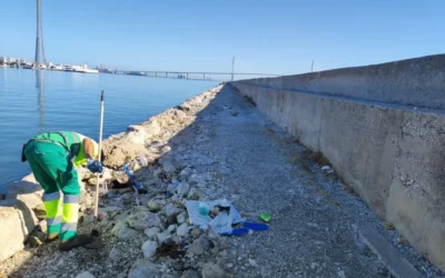 La Autoridad Portuaria retira 1,7 toneladas de basura de los espigones de la Bahía
