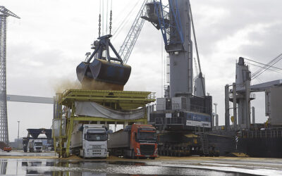 El tráfico total en El Puerto de la Bahía de Cádiz alcanza 380.000 toneladas en enero