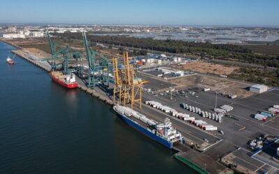El Puerto de Huelva comenzará en breve la pavimentación de la zona norte del Muelle Sur para aumentar su capacidad operativa