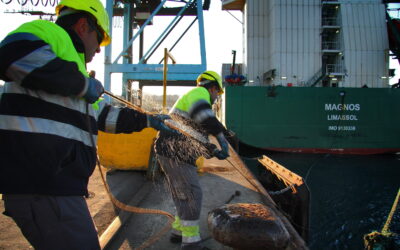 La APBA y la UCA ponen en marcha un nuevo estudio de impacto económico de los puertos de Algeciras y Tarifa